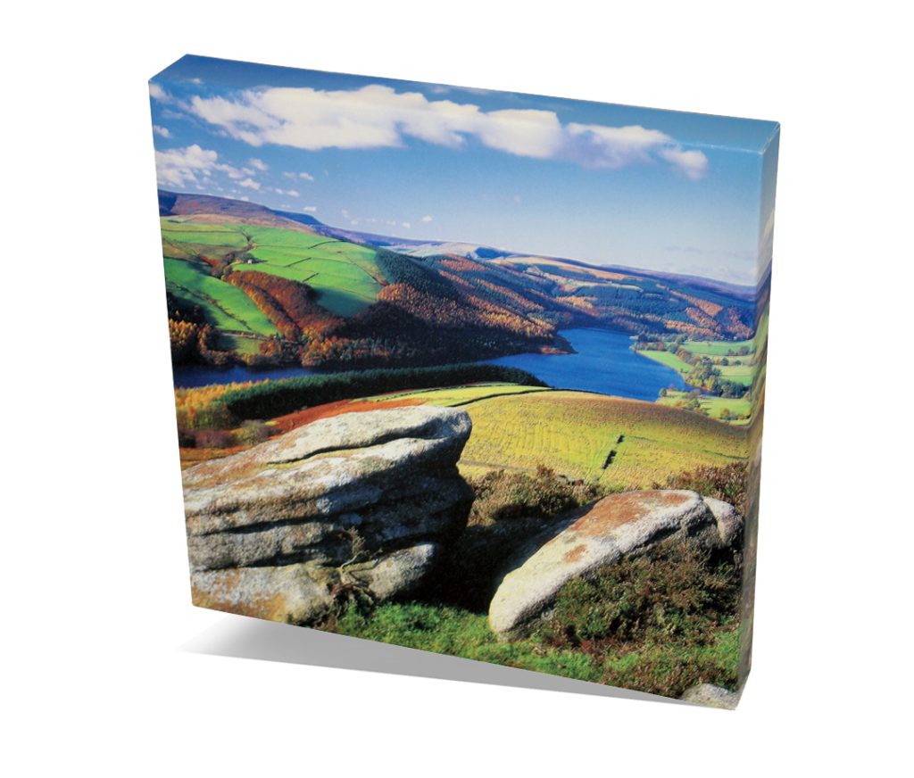 QuickPro Canvas 305x305