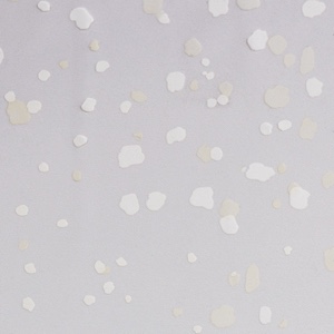 Transparente-Padrão